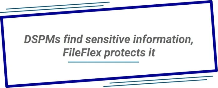 DSPMs find sensitive information, FileFlex protects it