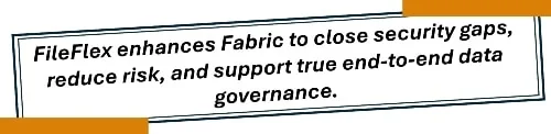FileFlex enhances Fabric to close security gaps, reduce risk, and support true end-to-end data governance.